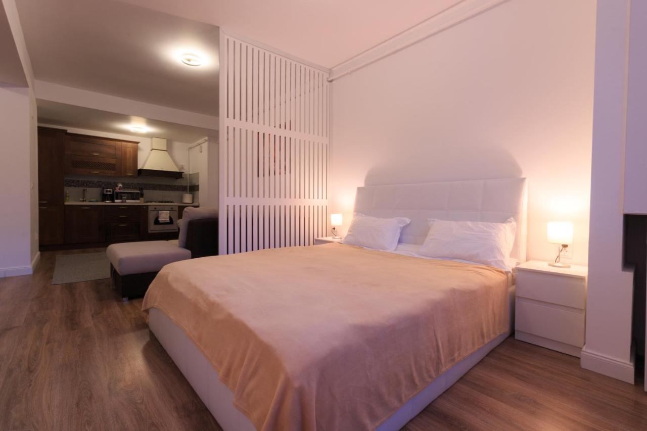 Best View Ap With Parking And 2 Bathrooms Sinaia Exterior photo