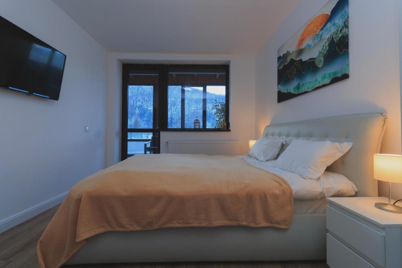 Best View Ap With Parking And 2 Bathrooms Sinaia Exterior photo