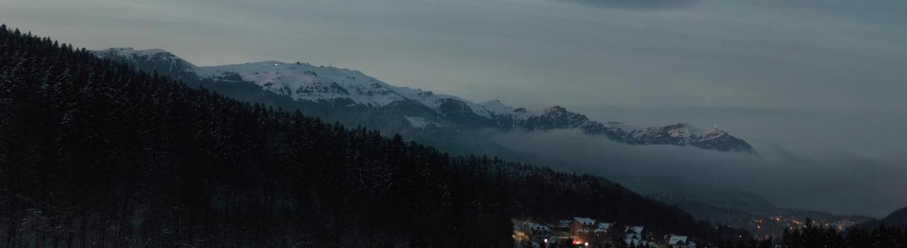 Best View Ap With Parking And 2 Bathrooms Sinaia Exterior photo