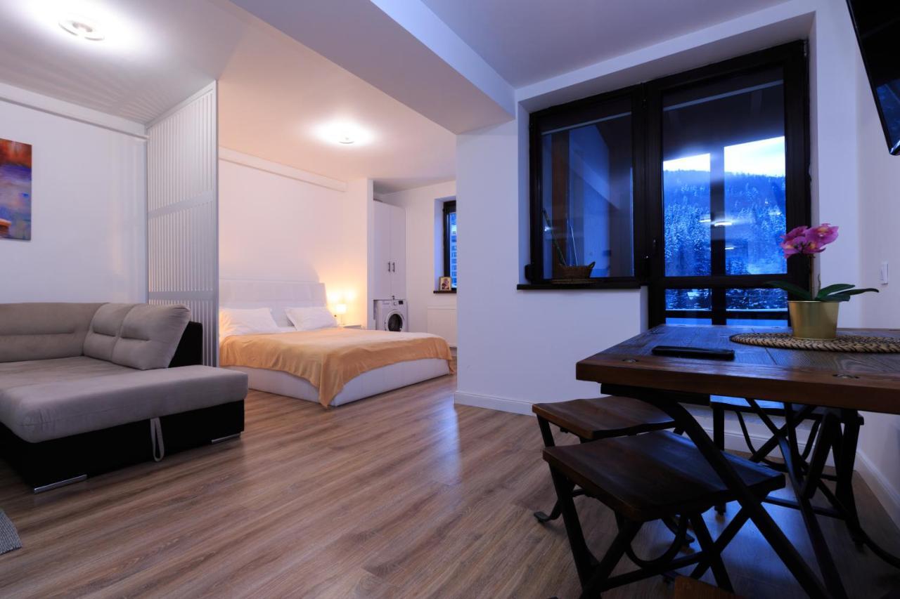 Best View Ap With Parking And 2 Bathrooms Sinaia Exterior photo