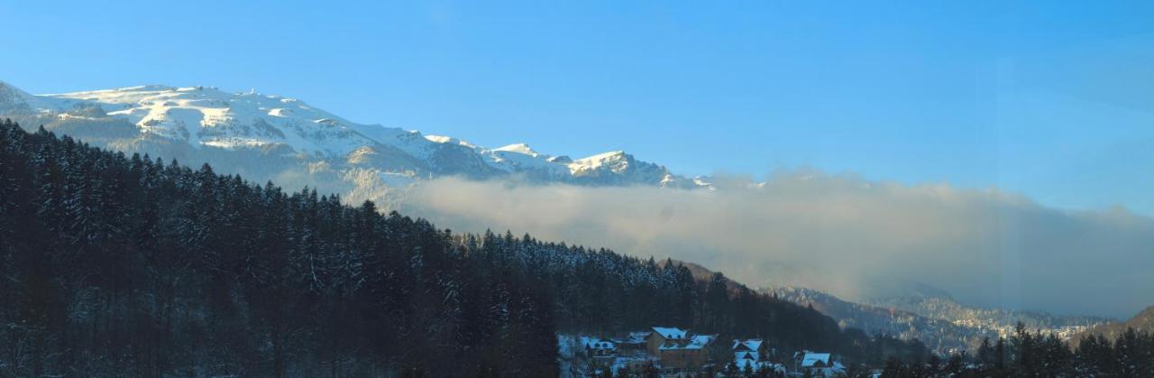 Best View Ap With Parking And 2 Bathrooms Sinaia Exterior photo