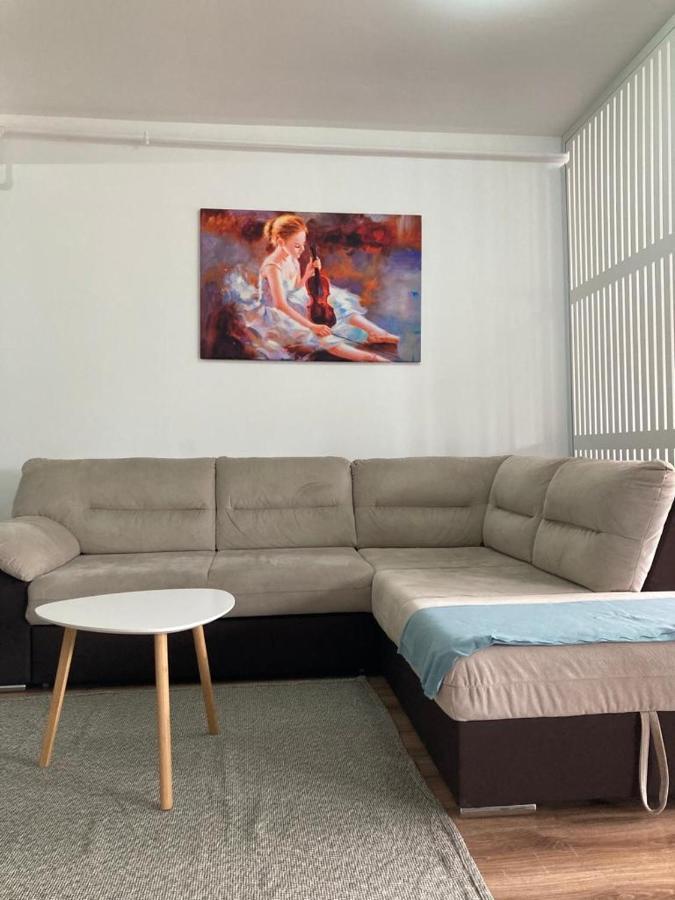 Best View Ap With Parking And 2 Bathrooms Sinaia Exterior photo