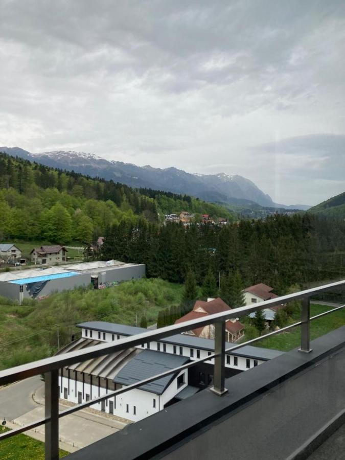 Best View Ap With Parking And 2 Bathrooms Sinaia Exterior photo