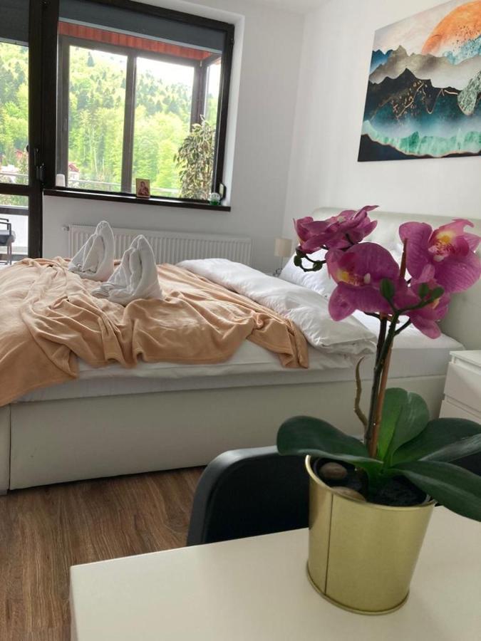 Best View Ap With Parking And 2 Bathrooms Sinaia Exterior photo
