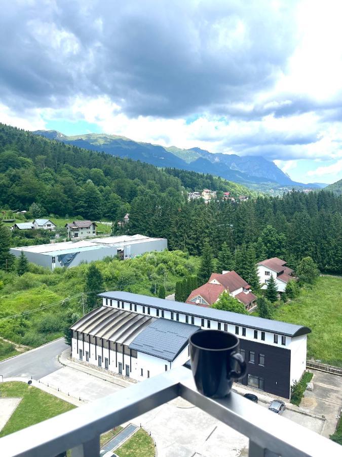 Best View Ap With Parking And 2 Bathrooms Sinaia Exterior photo