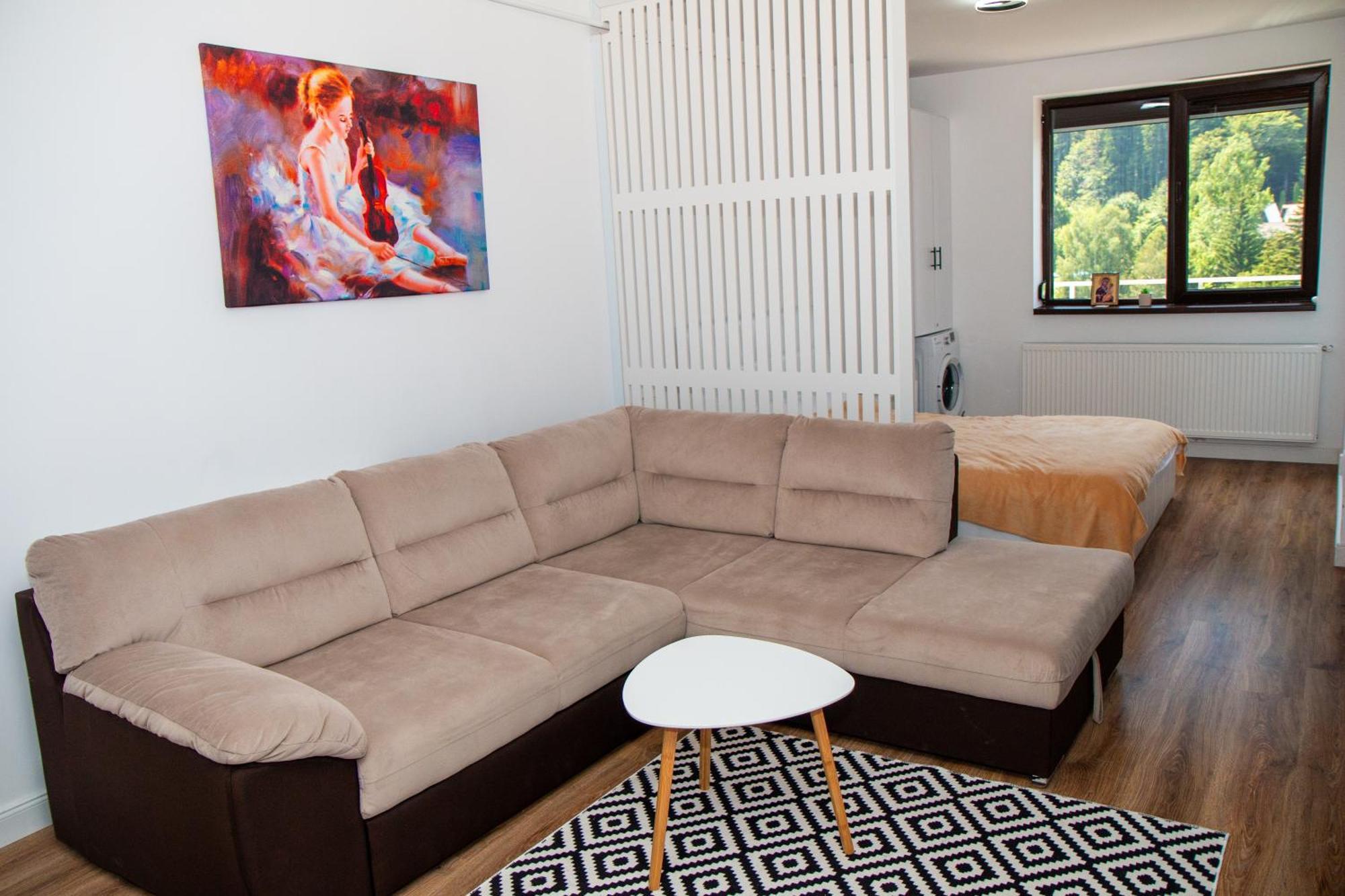 Best View Ap With Parking And 2 Bathrooms Sinaia Exterior photo