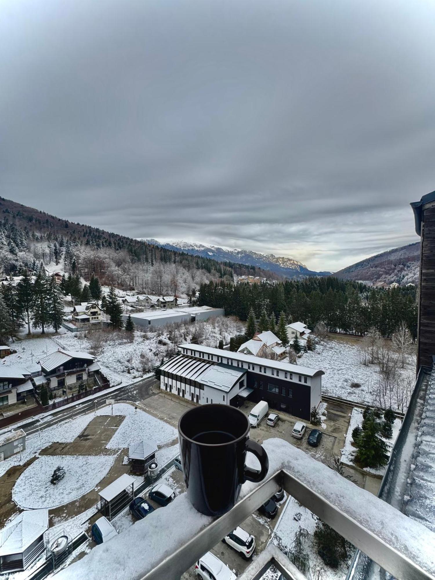 Best View Ap With Parking And 2 Bathrooms Sinaia Exterior photo
